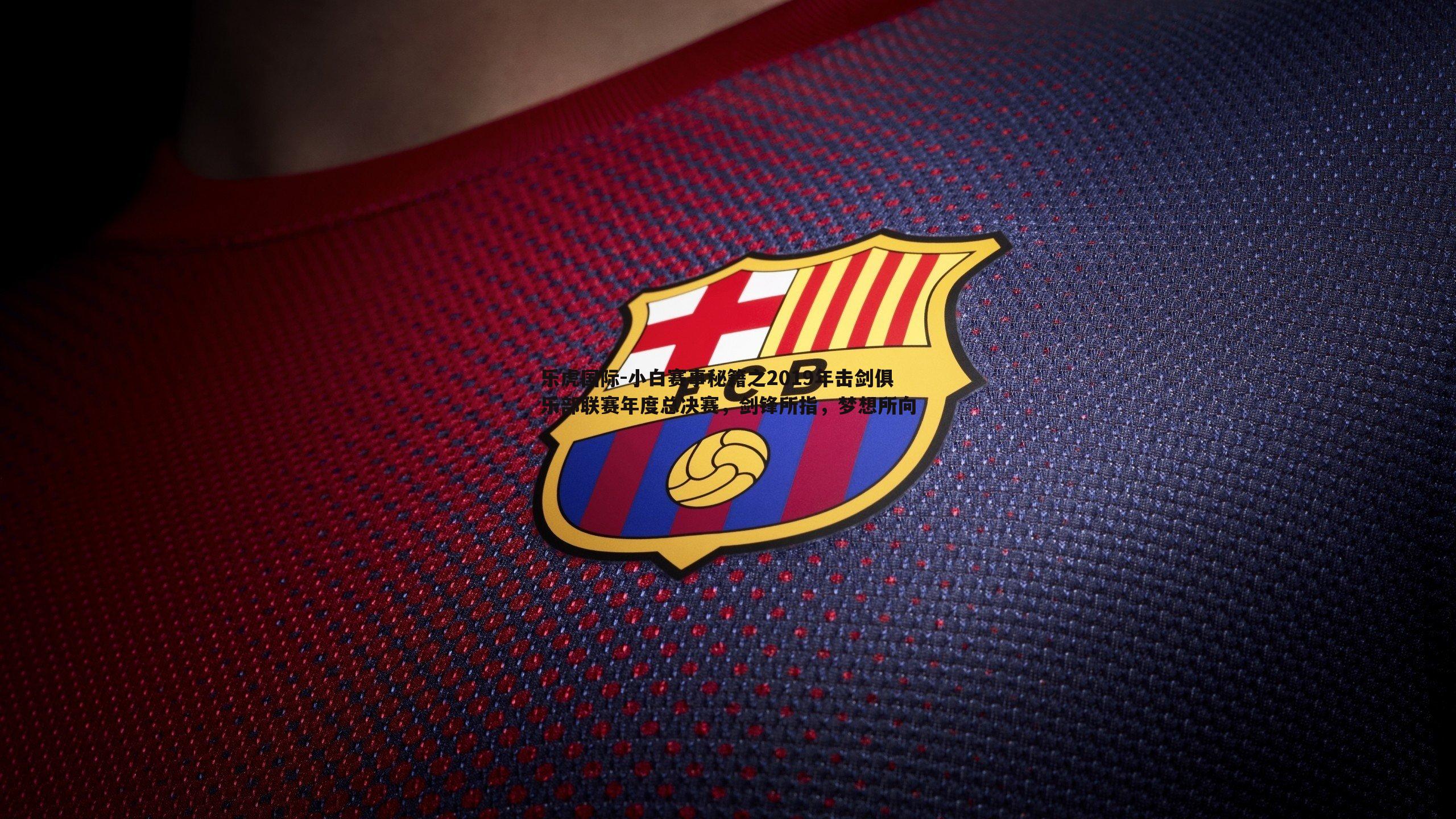 小白赛事秘籍之2019年击剑俱乐部联赛年度总决赛,剑锋所指,梦想所向